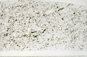 Plane Polarized, S71714