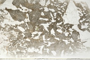 Plane Polarized, S71723