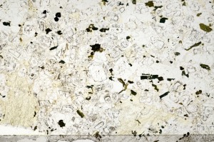 Plane Polarized, S71789