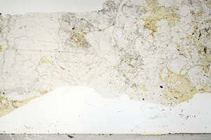 Plane Polarized, S71790