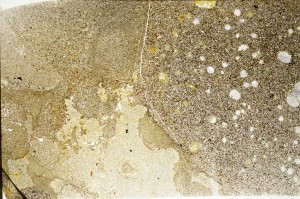 Plane Polarized, S71797