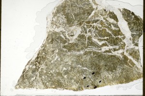 Plane Polarized, S71807