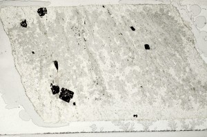 Plane Polarized, S71834