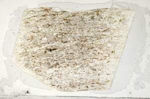 Plane Polarized, S71839