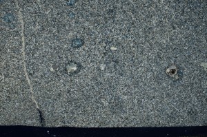 Cross Polarized, S71846