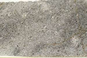 Plane Polarized, S71854