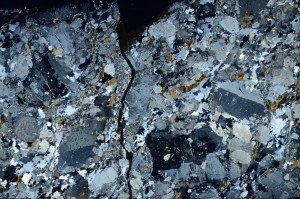 Cross Polarized, S71859