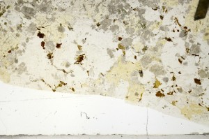 Plane Polarized, S71860