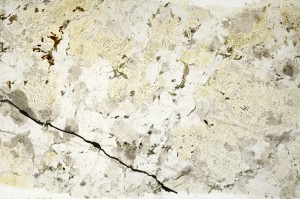 Plane Polarized, S71863