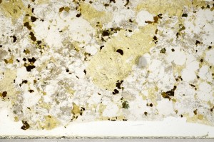 Plane Polarized, S71872