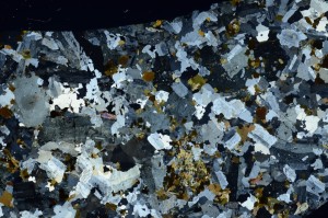 Cross Polarized, S71873