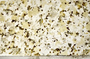 Plane Polarized, S71877