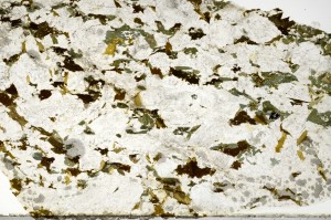 Plane Polarized, S71884