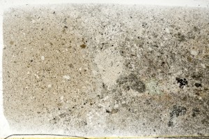 Plane Polarized, S71923