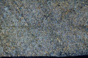 Cross Polarized, S71926