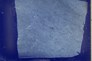 Cross Polarized, S72029
