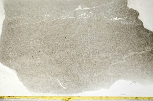 Plane Polarized, S72041