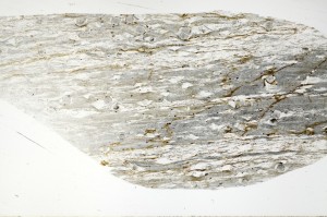 Plane Polarized, S72063