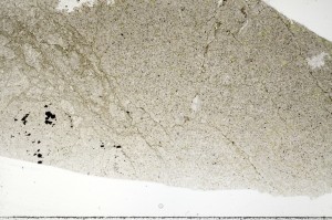 Plane Polarized, S72135