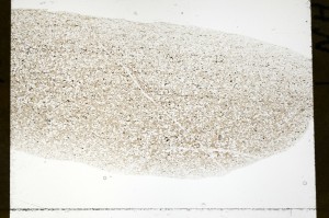 Plane Polarized, S72140