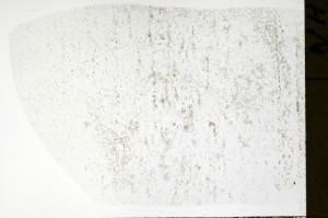 Plane Polarized, S72142