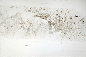 Plane Polarized, S72144