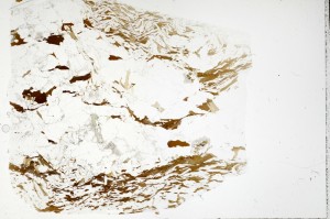 Plane Polarized, S72149