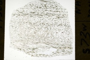 Plane Polarized, S72154
