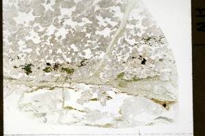 Plane Polarized, S72161