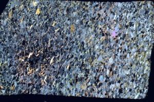 Cross Polarized, S72225