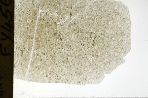Plane Polarized, S72232
