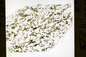 Plane Polarized, S72236