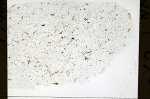 Plane Polarized, S72239