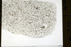 Plane Polarized, S72240