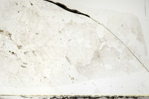 Plane Polarized, S72265/A