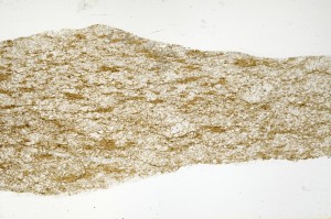 Plane Polarized, S72299