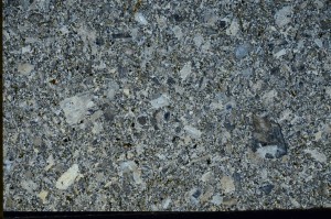 Cross Polarized, S72366