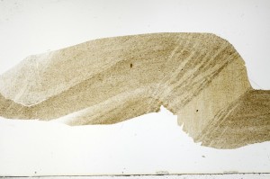 Plane Polarized, S72425