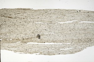 Plane Polarized, S72429