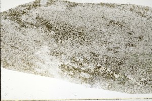 Plane Polarized, S72455