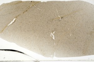 Plane Polarized, S72462