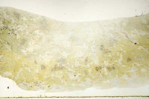 Plane Polarized, S72483