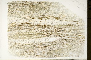 Plane Polarized, S72484