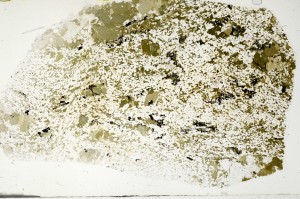 Plane Polarized, S72512
