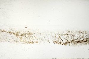 Plane Polarized, S72513