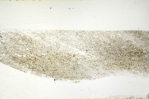 Plane Polarized, S72534