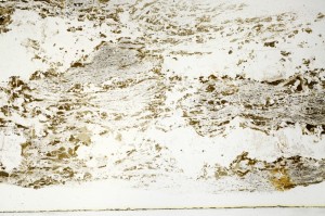 Plane Polarized, S72538