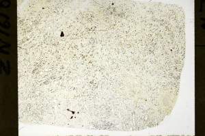 Plane Polarized, S72542