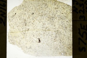 Plane Polarized, S72544
