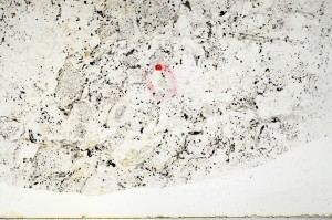 Plane Polarized, S72546